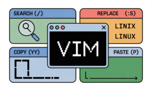 【Vimの基礎知識】入門から応用までを体系化した学習ロードマップ